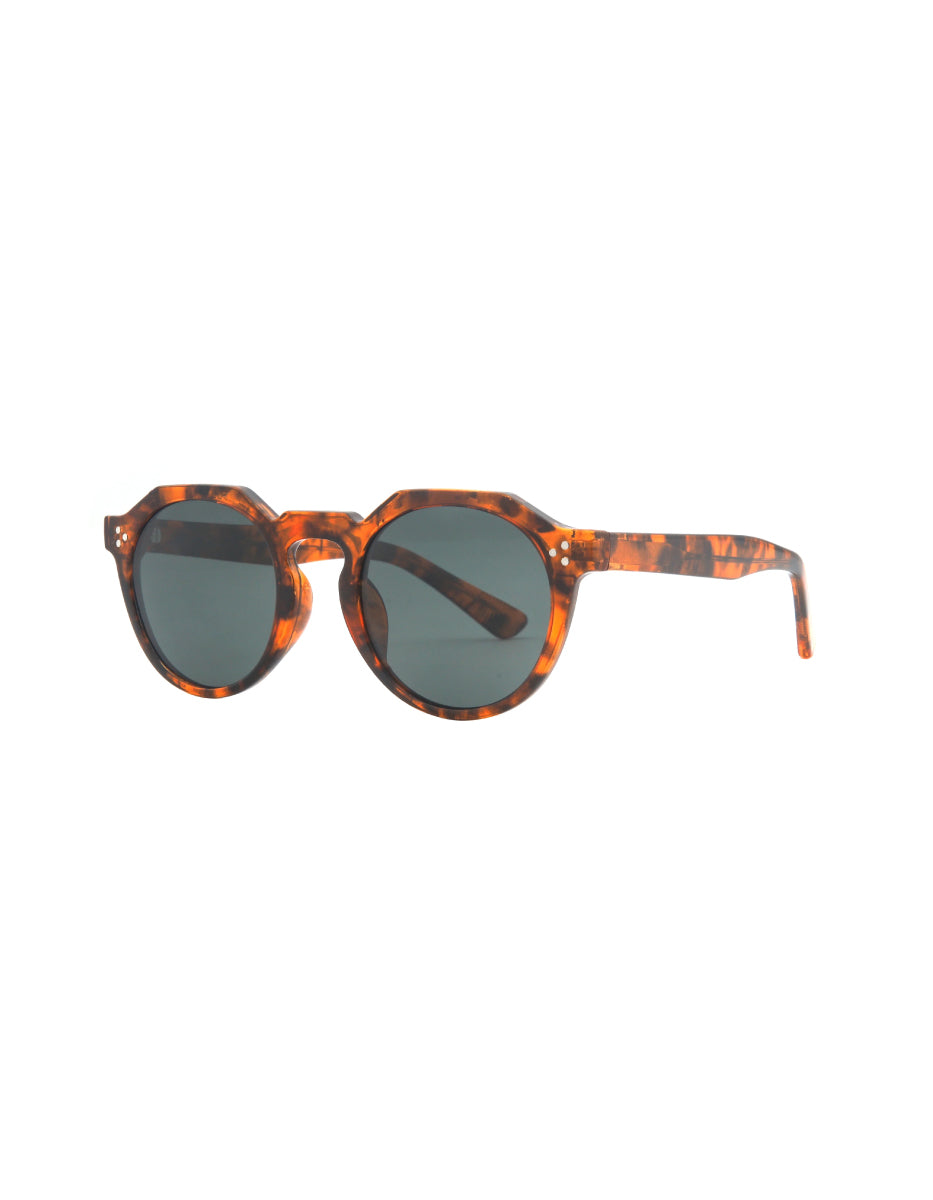 Gafas de sol Soleil café print / Lente ahumada