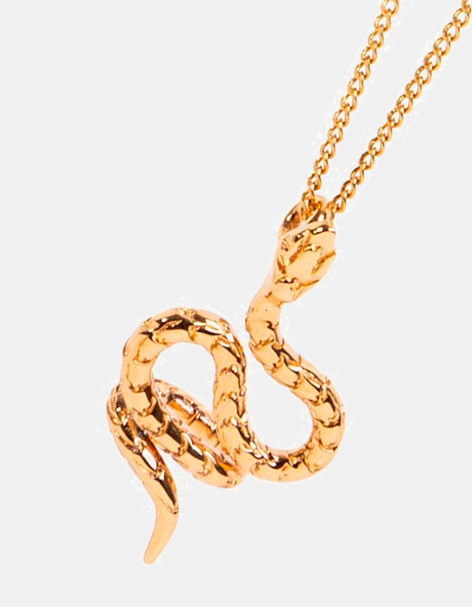 Collar con dije forma de serpiente martelinada Poison