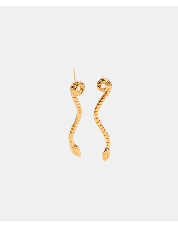 ARETES LARGOS POISON 