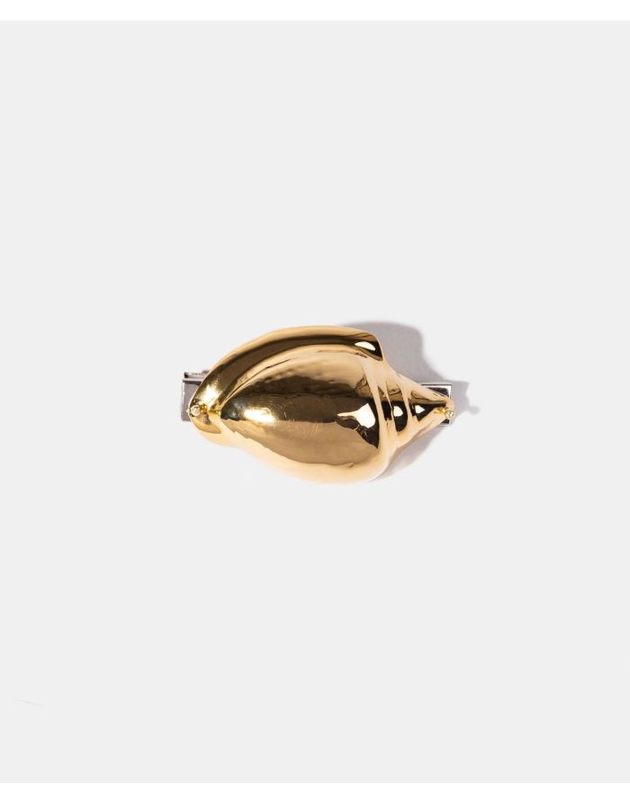 Broche Bonjour Paris