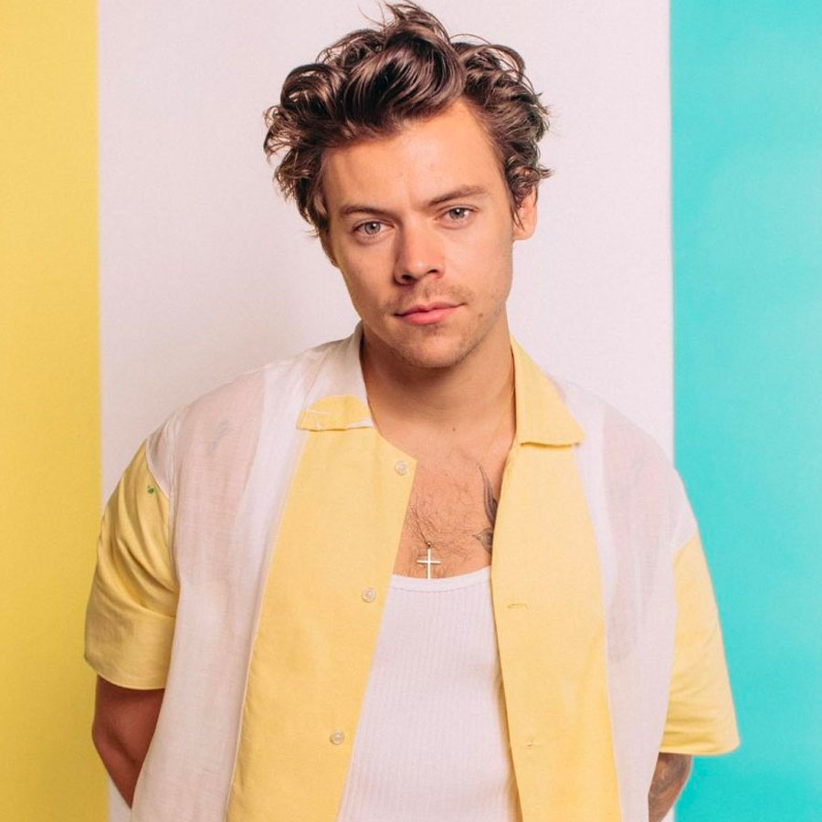 Harry Styles get the look
